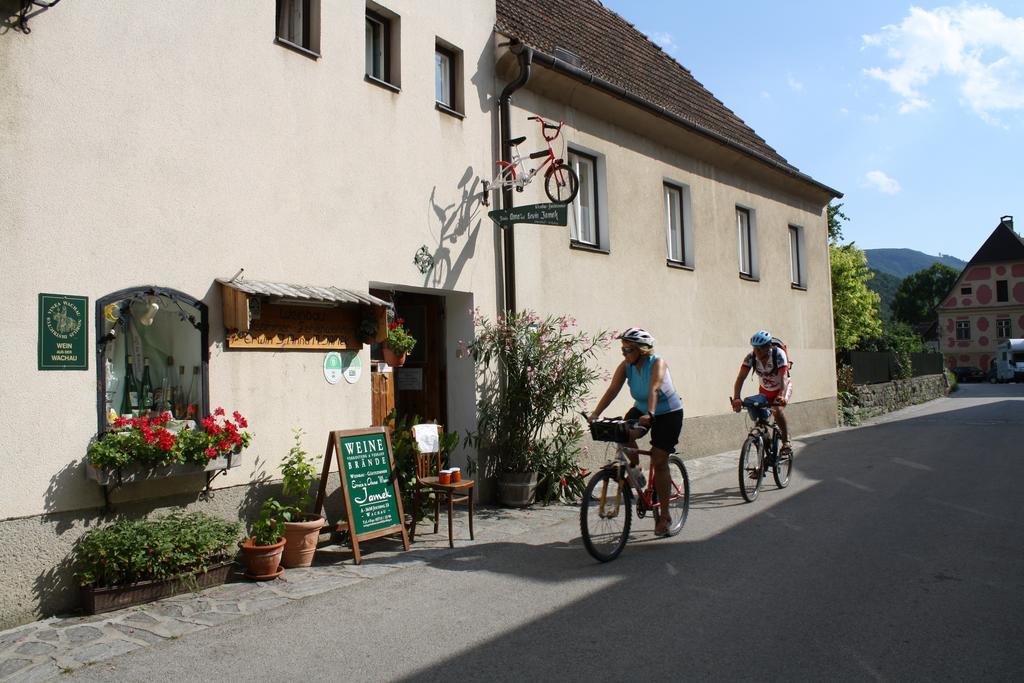 Weinbau-Gaestezimmer Martin Und Eva Maria Jamek ヴァイセンキルヒェン・イン・デア・ヴァッハウ エクステリア 写真